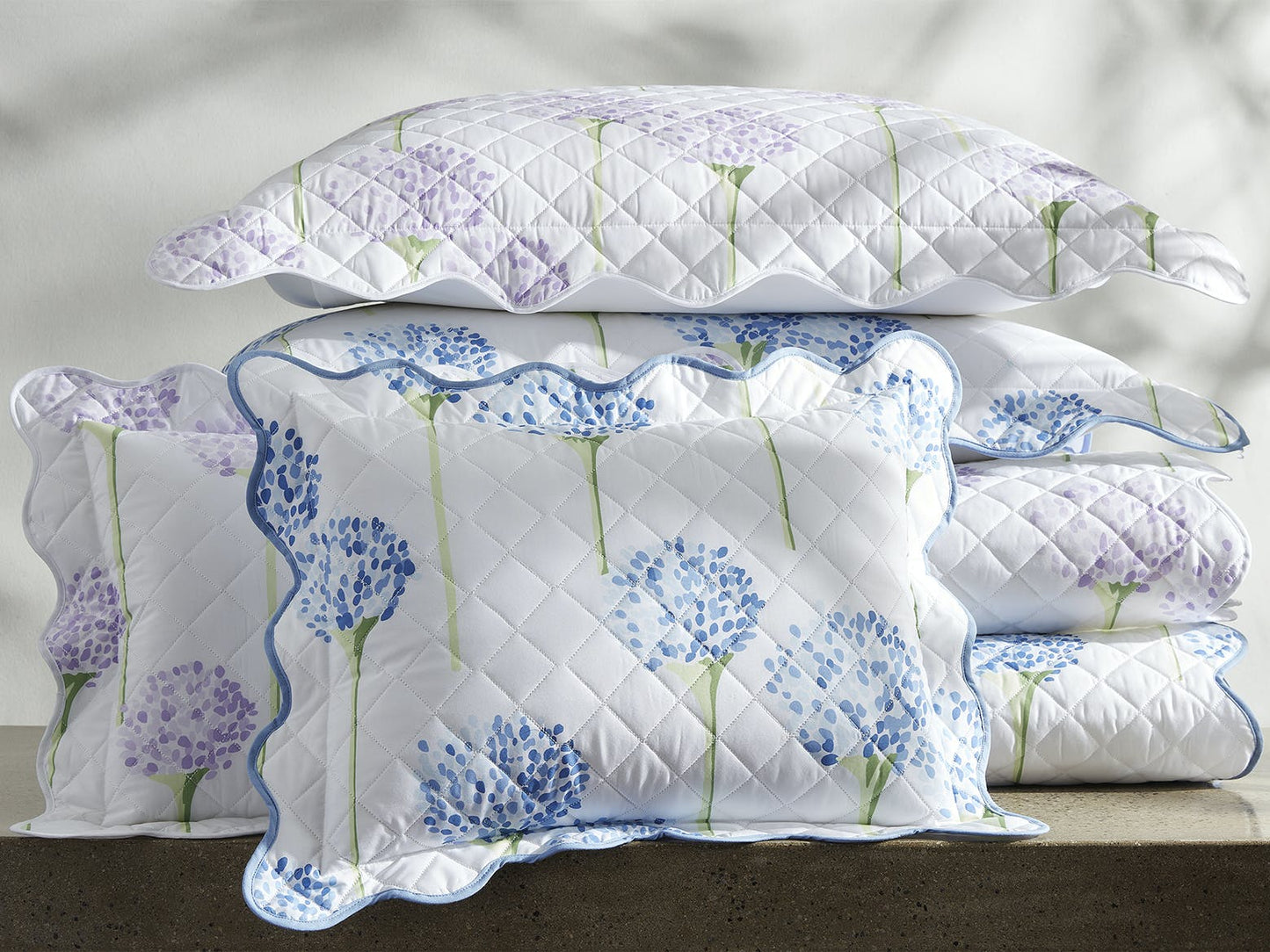 Charlotte Collection