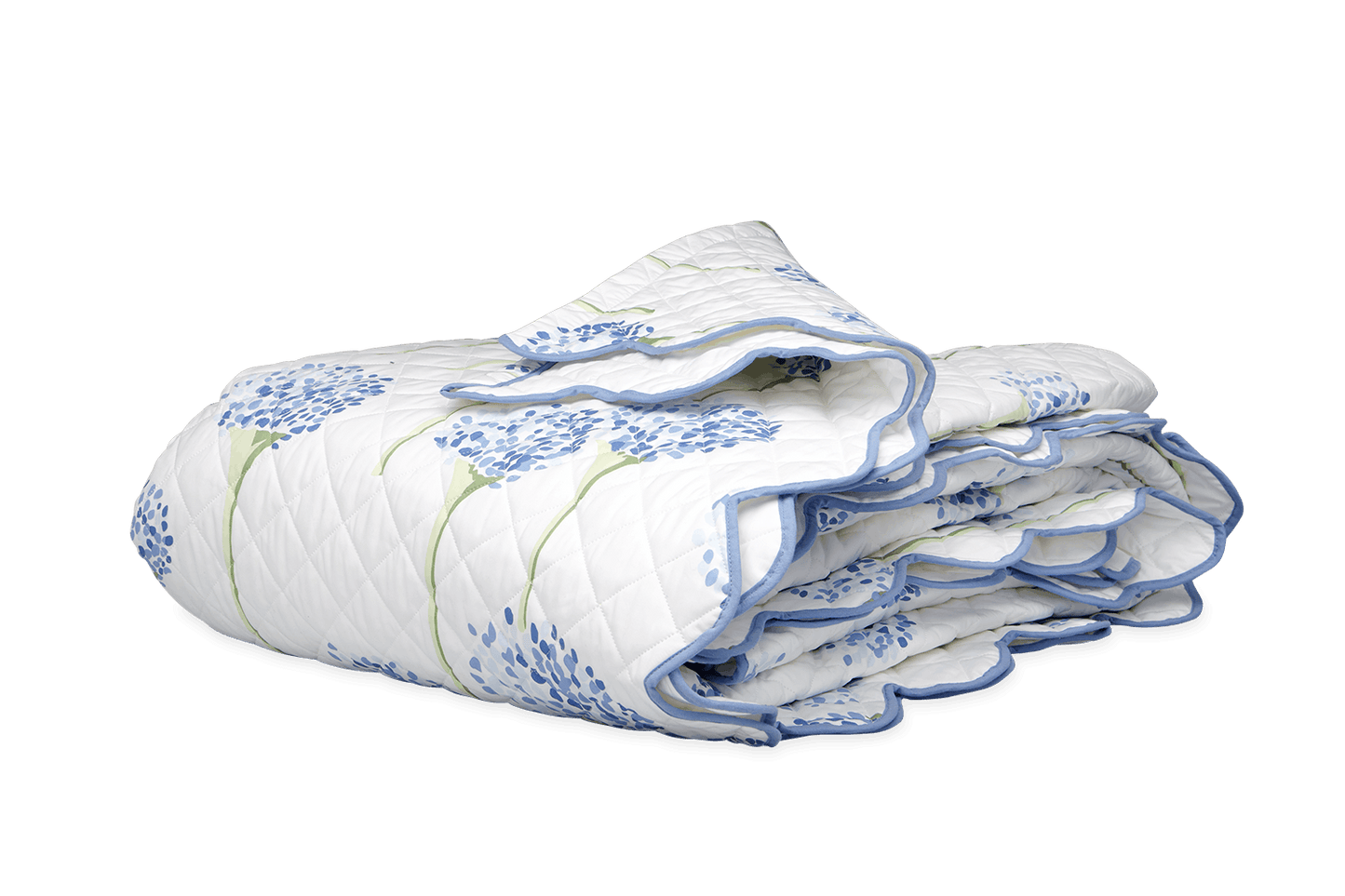 Charlotte Collection