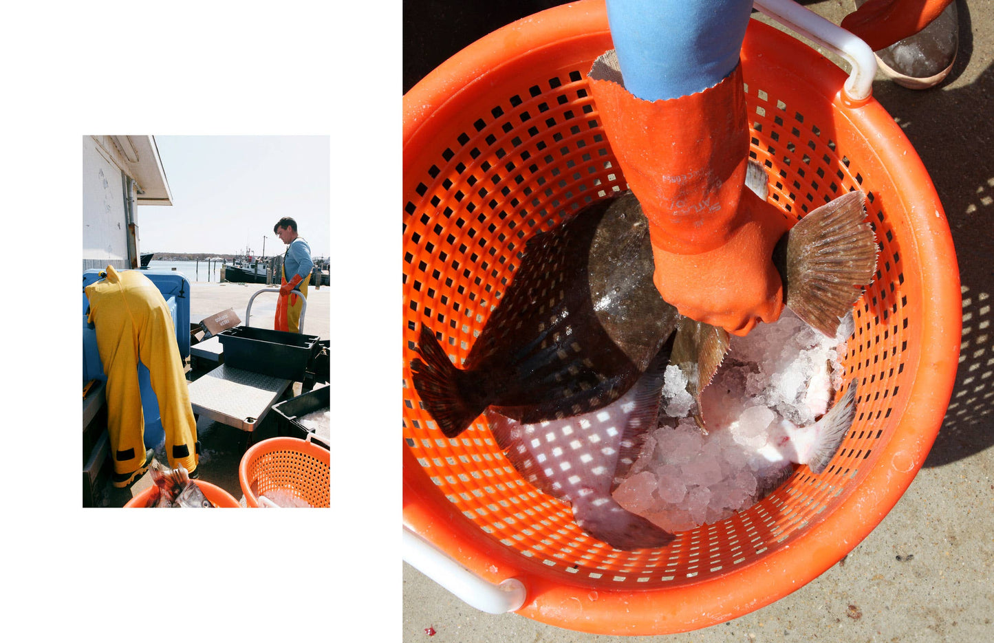 Out East from Above: An Aerial View of the South Fork