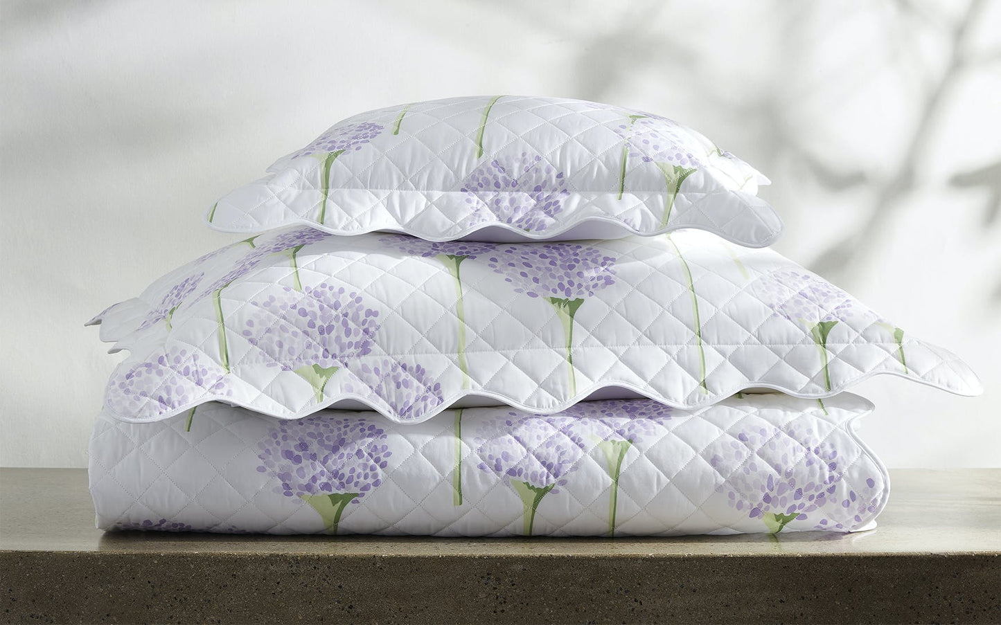 Charlotte Collection