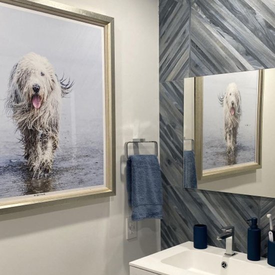 Old English Sheepdog