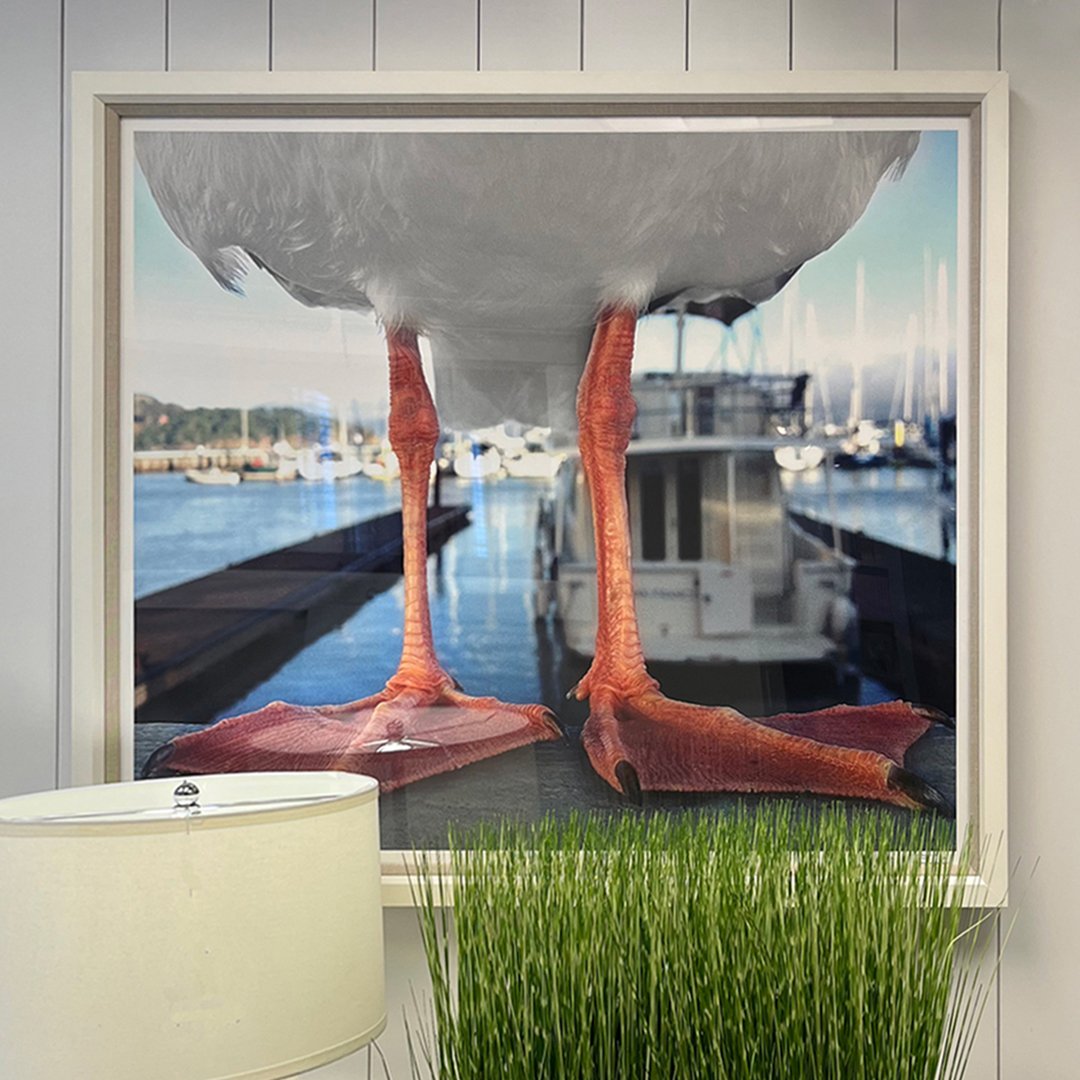 Giant Seagull – Hildreth's
