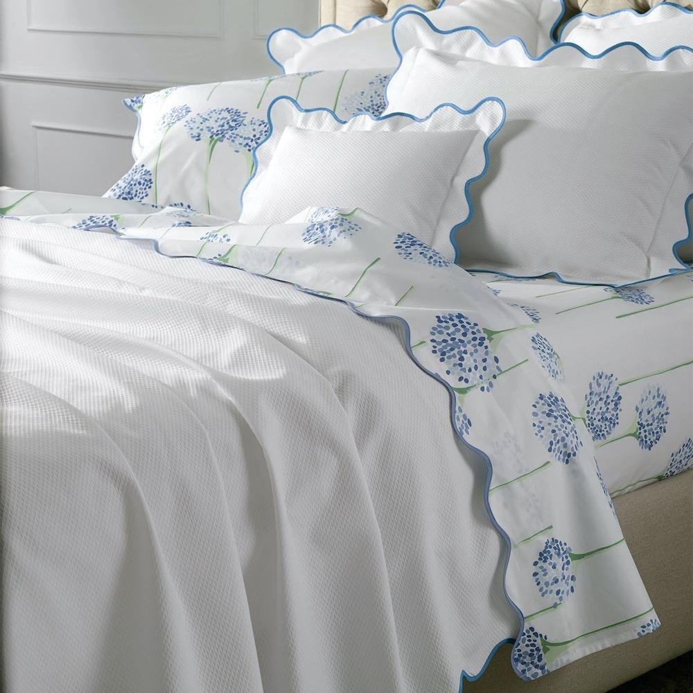 Charlotte Collection